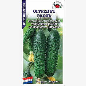 Огурец Эколь /Сотка+ВитаГрин/ 5 шт (сингента)