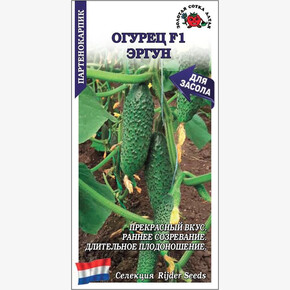Огурец Эргун /Сотка/ 5шт/*
