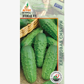 Огурец Этюд F1 10шт* КС, Россия, ср/спел./ Агрос