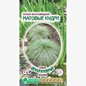 Осока МАТОВЫЕ КУДРИ 5 шт/ Евросемена