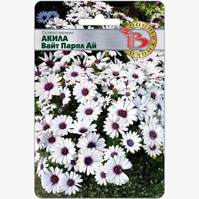 Остеоспермум Акила Вайт Парпл Ай 5шт/ Биотехника