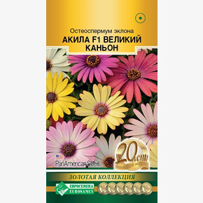 Остеоспермум Акила Великий Каньон 3шт/ Евросемена