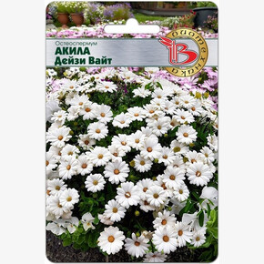 Остеоспермум Акила Дейзи Вайт 5шт/ Биотехника
