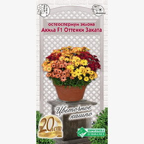 Остеоспермум Акила Оттенки Заката 3шт/ Евросемена