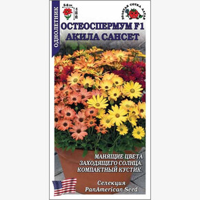 Остеоспермум Акила Сансет / Сотка / 5шт/