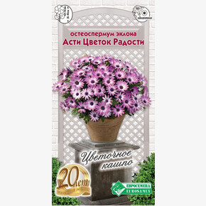 Остеоспермум Асти Цветок Радости 3шт/ Евросемена