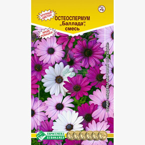 Остеоспермум БАЛЛАДА смесь (5 шт)/ Евросемена