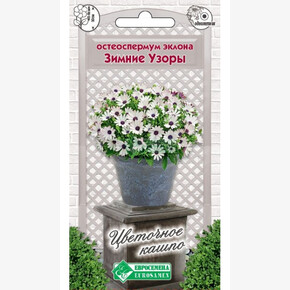 Остеоспермум ЗИМНИЕ УЗОРЫ 0,1 гр/ Евросемена