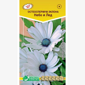 Остеоспермум Небо и Лед (0,1 гр)/ Евросемена