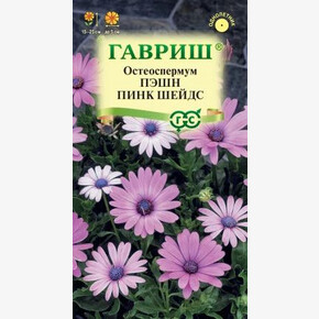 Остеоспермум Пэшн пинк шейдс 3 шт. Гавриш