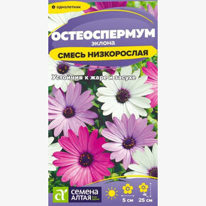 Остеоспермум Смесь эклона низкорослая/Сем Алт/цп 0,1 гр.