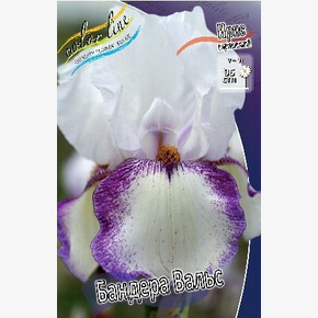 ОЧИТОК БЛЭК НАЙТ