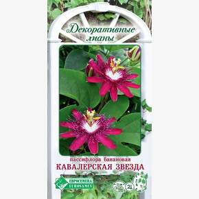 Пассифлора КАВАЛЕРСКАЯ ЗВЕЗДА банановая 5 шт/ Евросемена