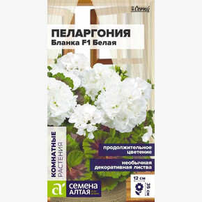 Пеларгония Бланка F1 зональная белая/Сем Алт/цп 3 шт. НОВИНКА