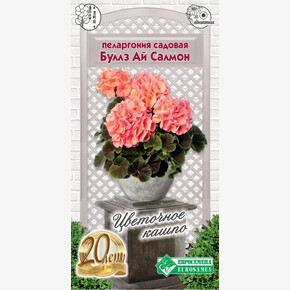Пеларгония Буллз Ай Салмон 3шт/ Евросемена