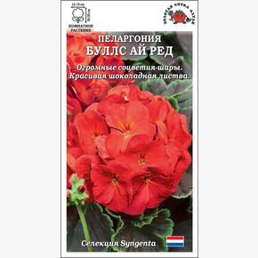 Пеларгония Буллс Ай Ред /Сотка/ 3шт