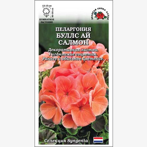 Пеларгония Буллс Ай Салмон /Сотка/ 3 шт