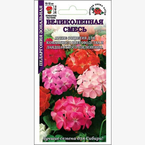Пеларгония Великолепная смесь /Сотка/ 3шт /*1500