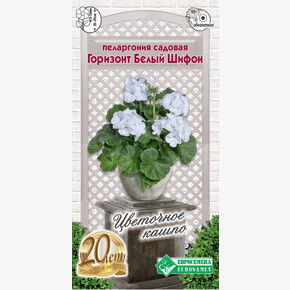 Пеларгония Горизонт Белый Шифон/ Евросемена