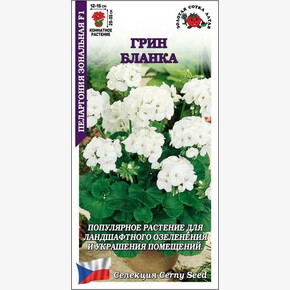 Пеларгония Грин Бланка/ Сотка