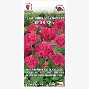 Пеларгония Грин Ева / Сотка