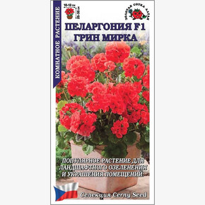Пеларгония Грин Мирка / Сотка