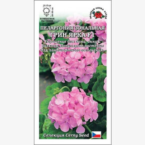 Пеларгония Грин Ярка / Сотка