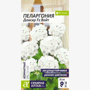 Пеларгония Дансер Вайт зональная/Сем Алт/цп 3 шт.