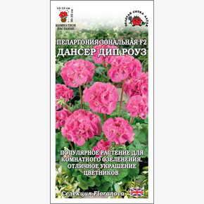 Пеларгония Дансер Дип роуз /Сотка/ 3 шт