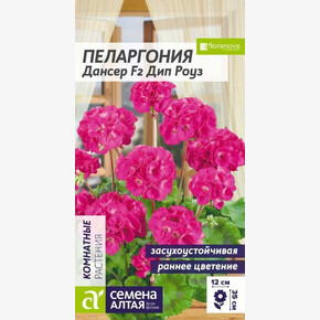 Пеларгония Дансер Дип Роуз зональная/Сем Алт/цп 3 шт.