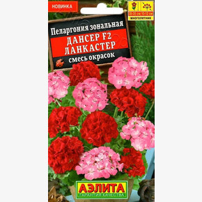 Пеларгония Дансер Ланкастер 5шт/ Аэлита