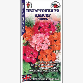 Пеларгония Дансер смесь /Сотка/ 3 шт