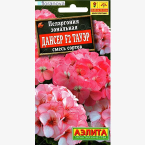 Пеларгония Дансер Тауэр/ Аэлита