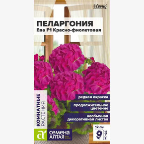 Пеларгония Ева F1 зональная красно-фиолетовая/Сем Алт/цп 3 шт. НОВИНКА