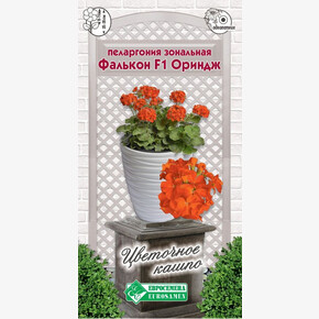 Пеларгония зональная Фалькон F1 Ориндж (3 шт)