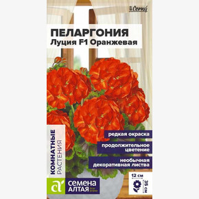 Пеларгония Луция F1 зональная оранжевая/Сем Алт/цп 3 шт. НОВИНКА