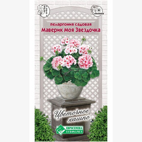 Пеларгония МАВЕРИК МОЯ ЗВЕЗДОЧКА 3 шт/ Евросемена