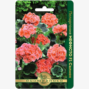 Пеларгония Мефисто Салмон/ Биотехника