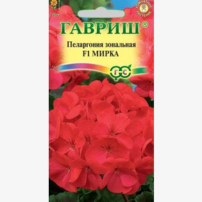 Пеларгония Мирка/ Гавриш