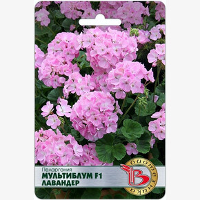 Пеларгония Мультиблум Лавандер /Биотехника/