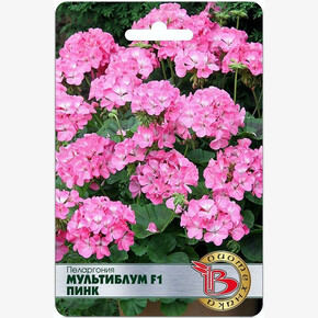 Пеларгония Мультиблум Пинк /Биотехника// 2025ПАРТ