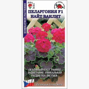 Пеларгония Найт Ваилит /Сотка/ 3 шт/ малин. h-35см d-15см/*