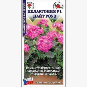 Пеларгония Найт Роуз / Сотка