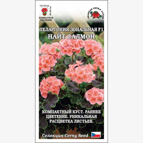 Пеларгония Найт Салмон / Сотка
