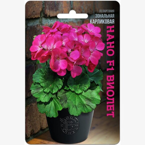 Пеларгония Нано Виолет/ Биотехника