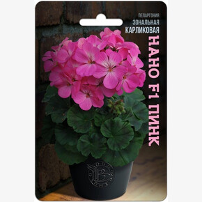 Пеларгония Нано Пинк/ Биотехника