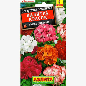 Пеларгония Палитра красок 4шт/ Аэлита