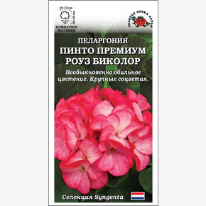 Пеларгония Пинто Премиум Роуз Биколор /Сотка/ 3 шт