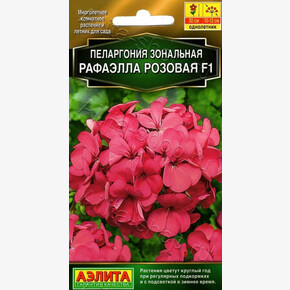 Пеларгония Рафаэлла Розовая/ Аэлита