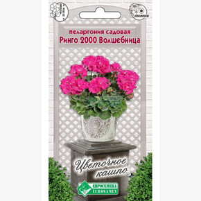 Пеларгония РИНГО 2000 Волшебница 3 шт/ Евросемена